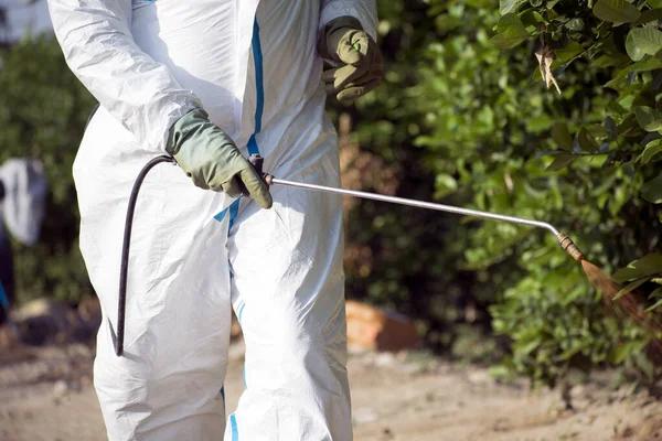 Effective Rodent Control Strategies in Sydney: A Comprehensive Guide